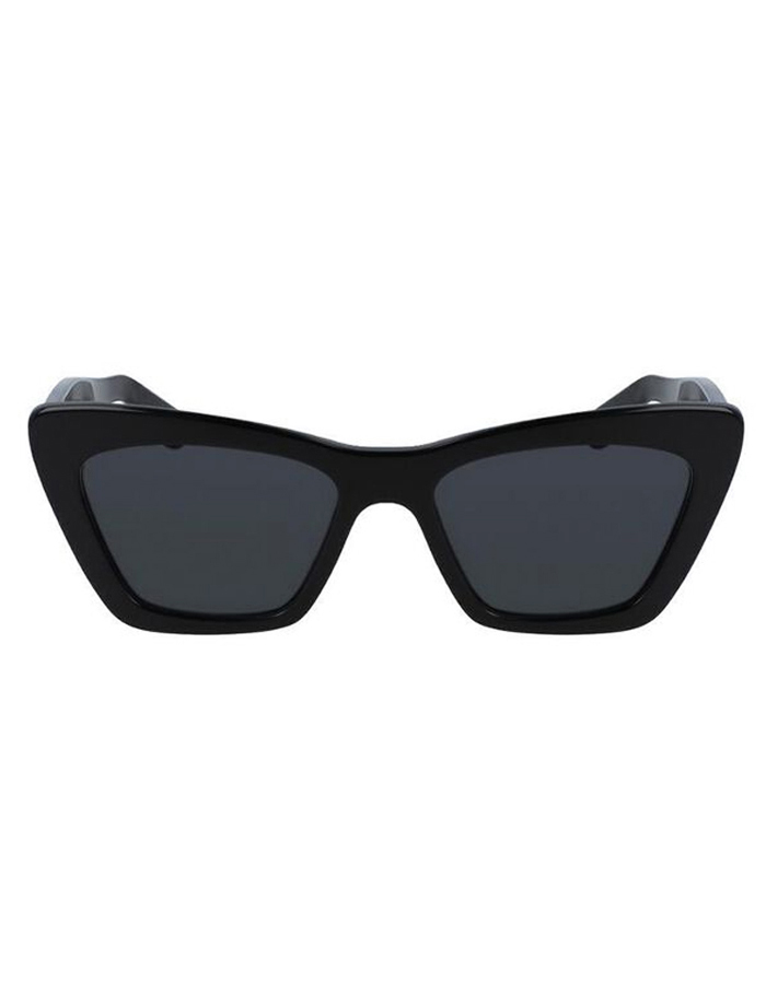 Salvatore Ferragamo sunglasses For Women are 100% UV protected and come with a Ferragamo case