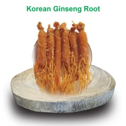 Korean Ginseng Root 1ps (কোরিয়ান জিনসেং মূল) - 10 gram