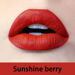 Sunshine Berry-Liquid Matte Lipstick