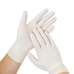 premium examination gloves 100 pcs - Hand Gloves
