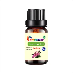 Eucalyptus Essential oil - 10 ml
