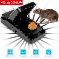 Mouse Killer Trap (5*3*3 inches)