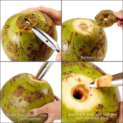 Stainless Steel Coconut Opener Tool Portable Coconut Opener Tool Coconut Opener Tool Stainless Steel  Kitchen Tools
