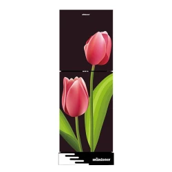MINISTER Refrigerator M-224 EL TULIP - 224 Ltr