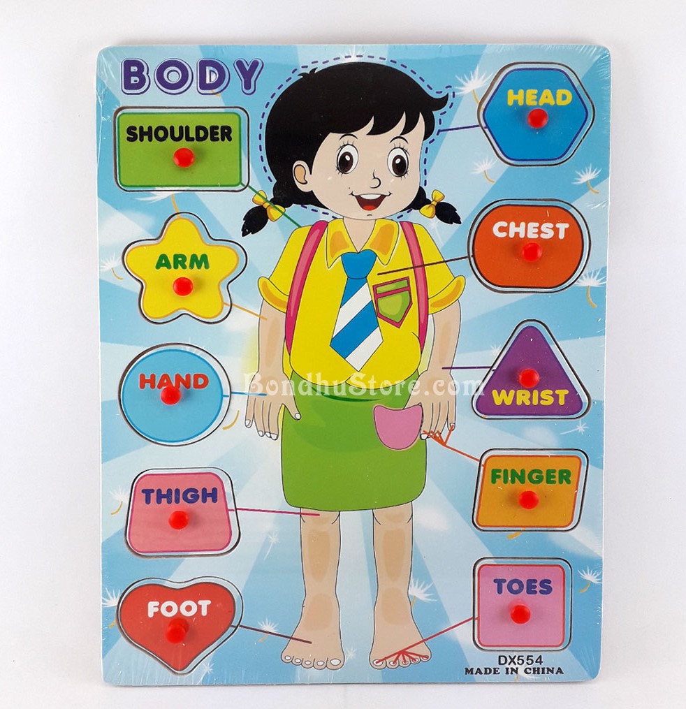 Educational Body Puzzle